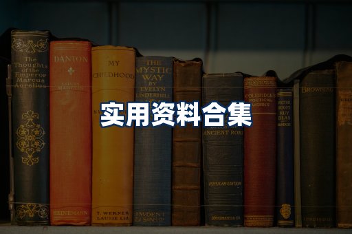 实用PDF资料展示